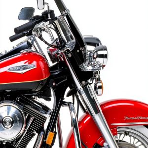 DK Definitive Motorcycle Guides by DK-0